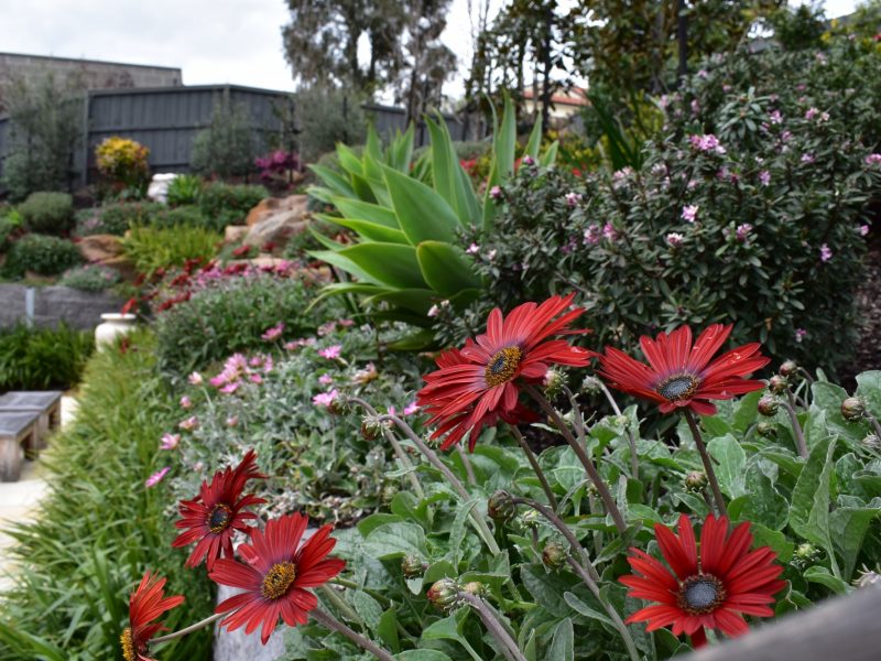  Semken Landscaping