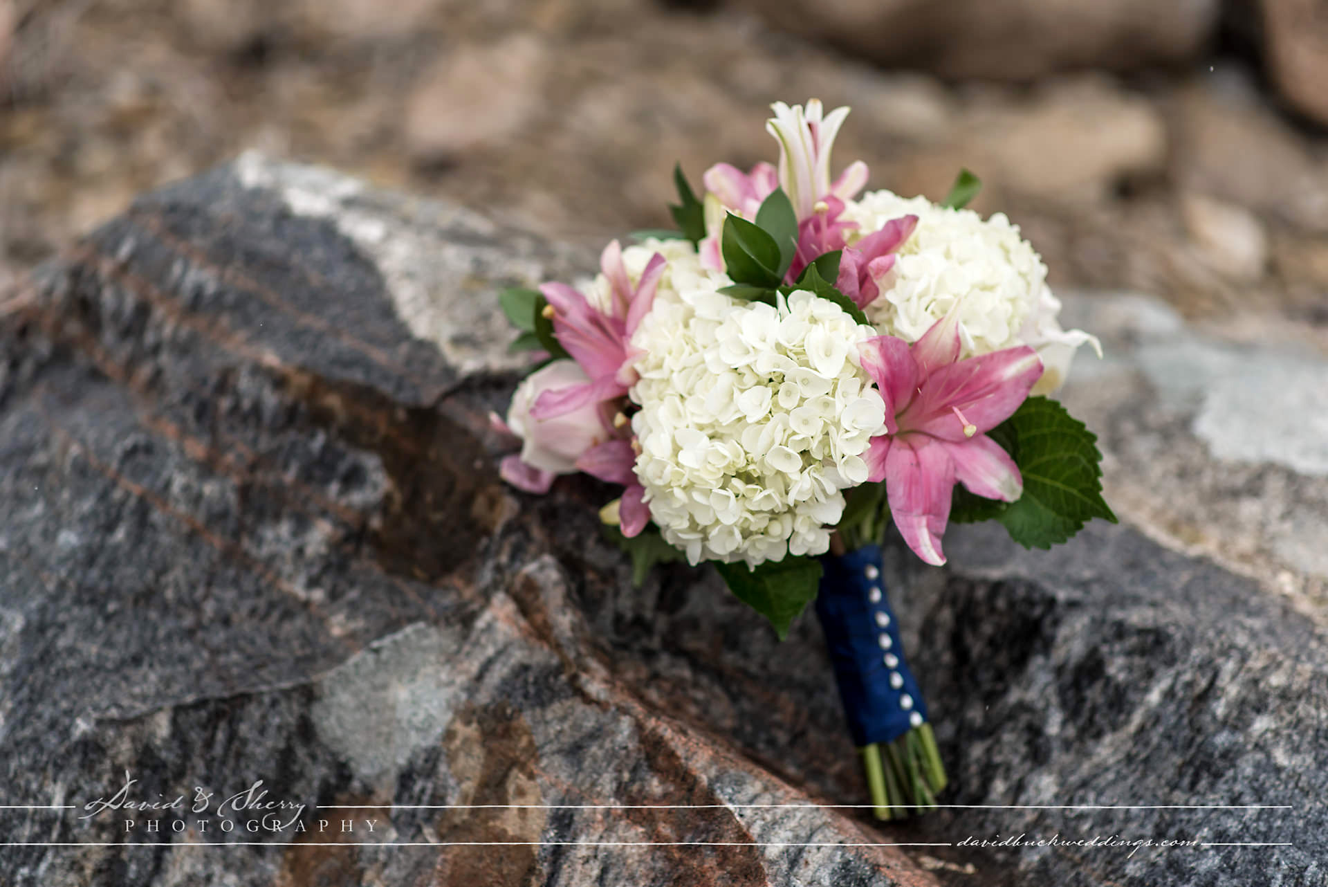 Cobble Beach Wedding Photography Neil & Daniela Owen Sound Wedding