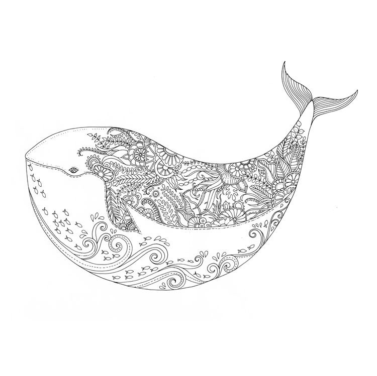 Mermaid Fairy Hannah Lynn Coloring Books Hannah.