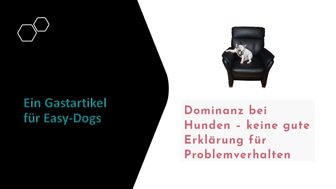 Bezahlt Wird Nicht Geschichten Aus Meinem Leben Eine Farce.