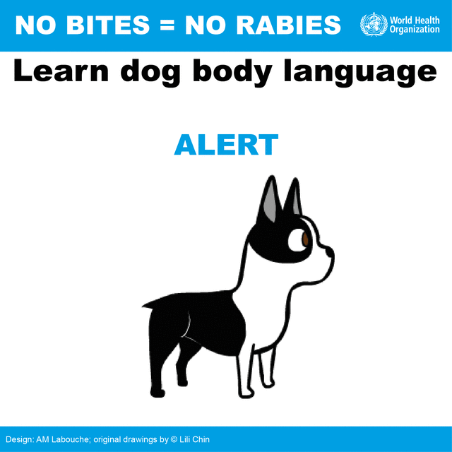 Health Observation Rabies Awareness