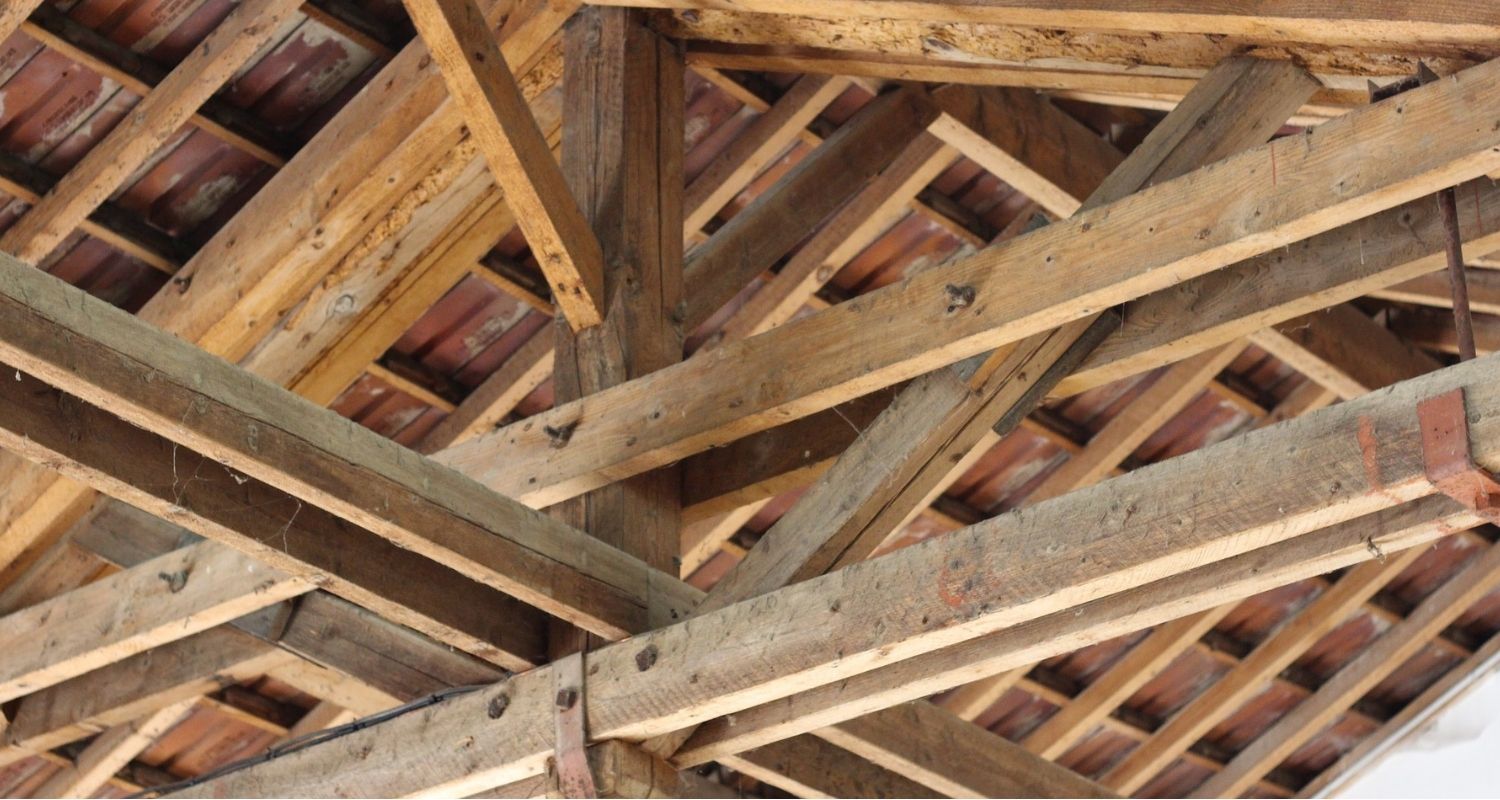 Différentes essences de bois : quelle est leur utilisation ? EcoTree