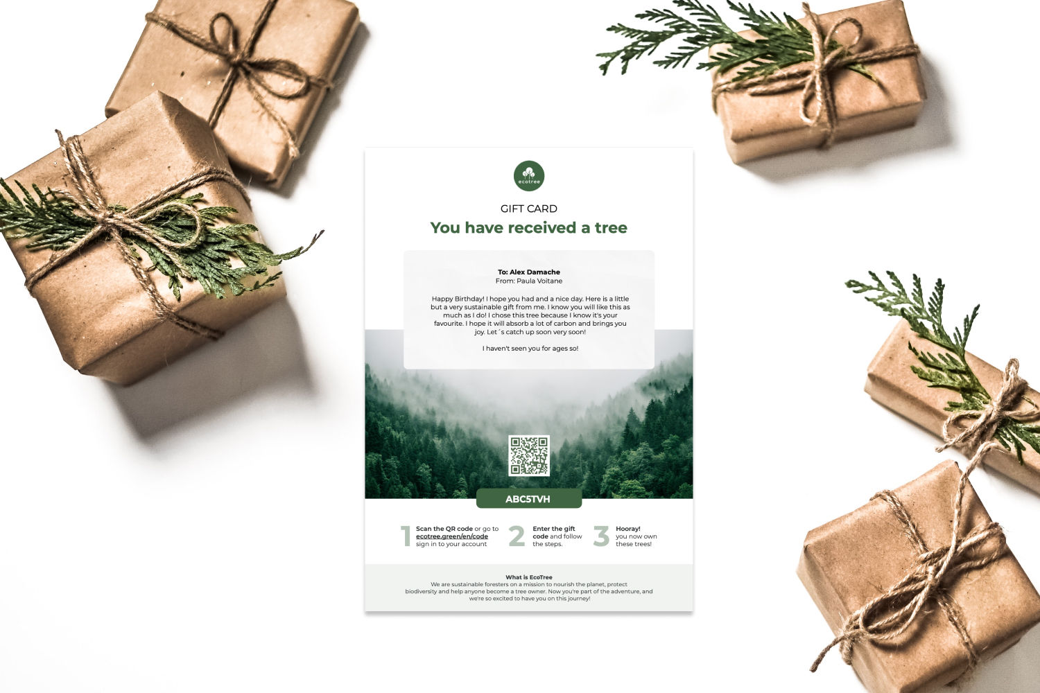 You have received a tree as a gift but what does it mean? EcoTree
