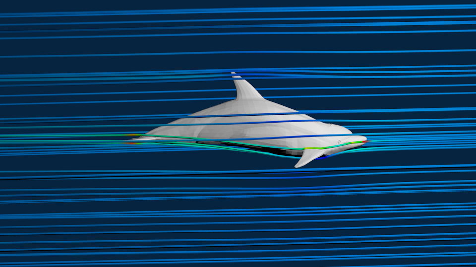 Dolphin Simulation CFD Simulations FetchCFD