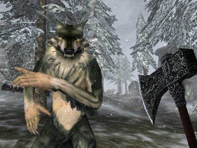 The Elder Scrolls III Morrowind® GOTY Edition