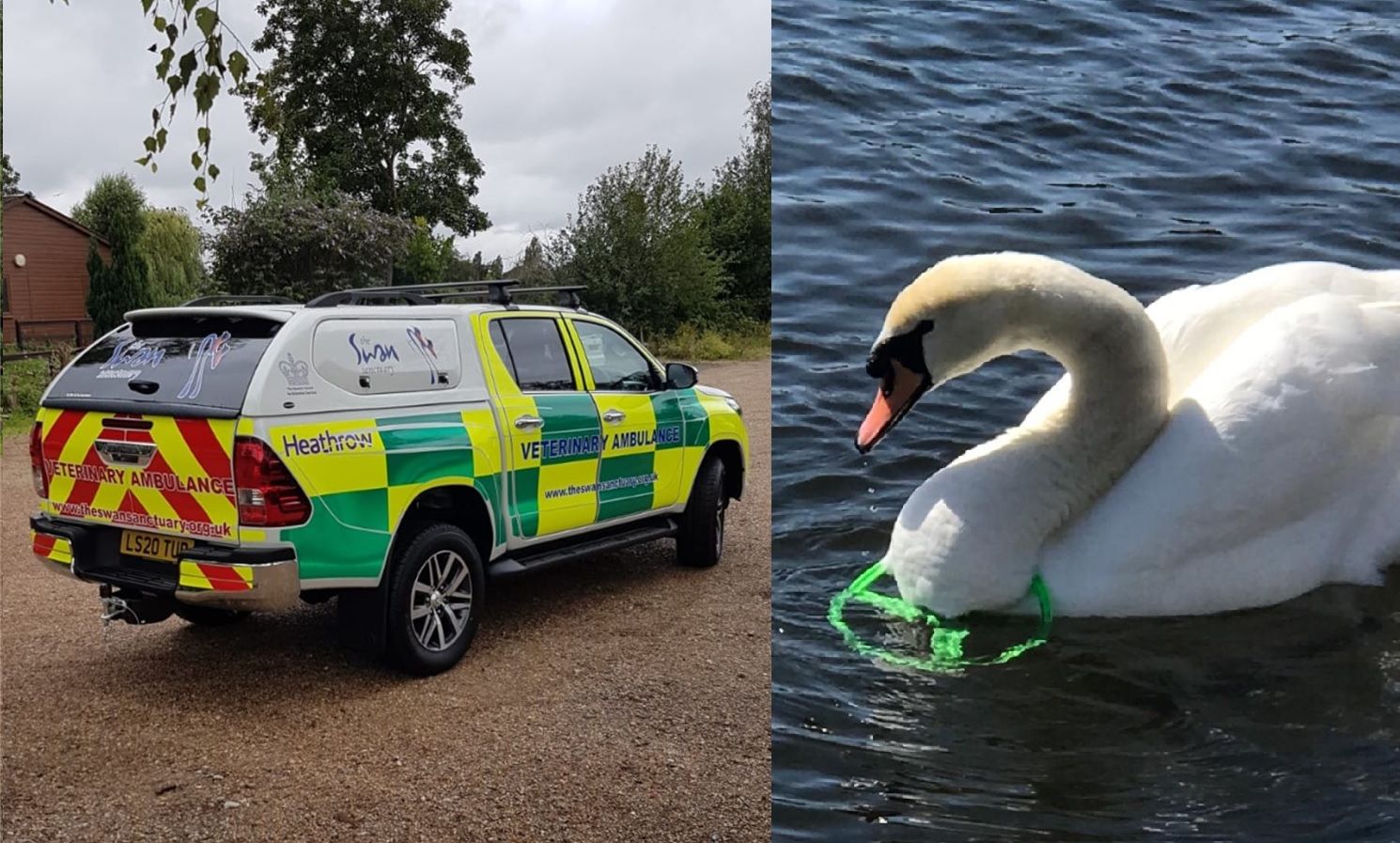New veterinary ambulance for 'swans in distress' in Surrey InYourArea
