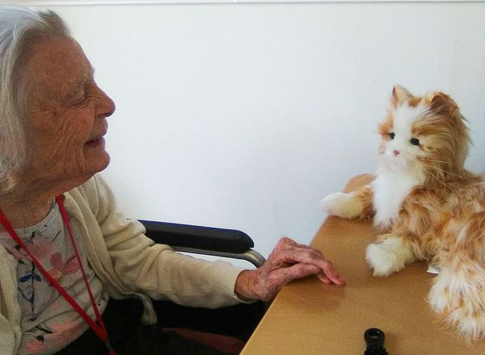 Robotic pets bring comfort to residents at care home in Hythe