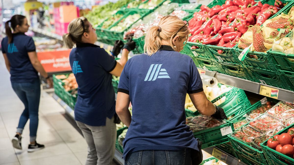 Aldi, Lidl and Sainsbury's slash price of Christmas veggies to just 19p