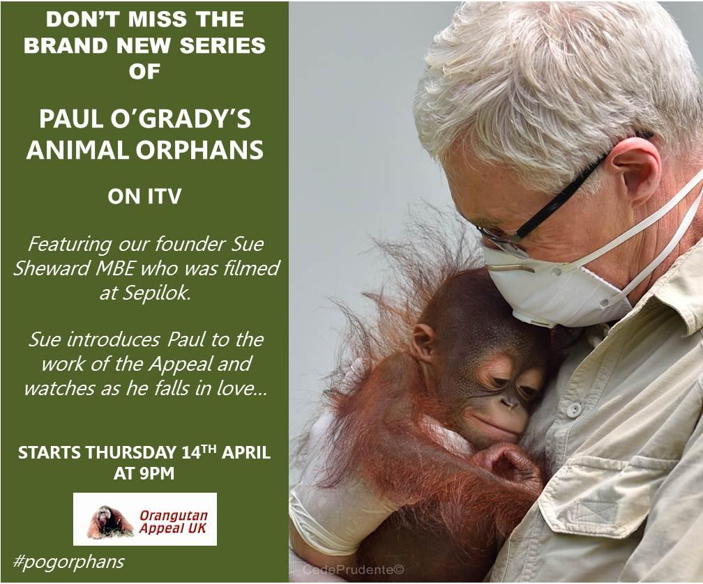 Paul O'Grady Love at First Sight Orangutan Appeal