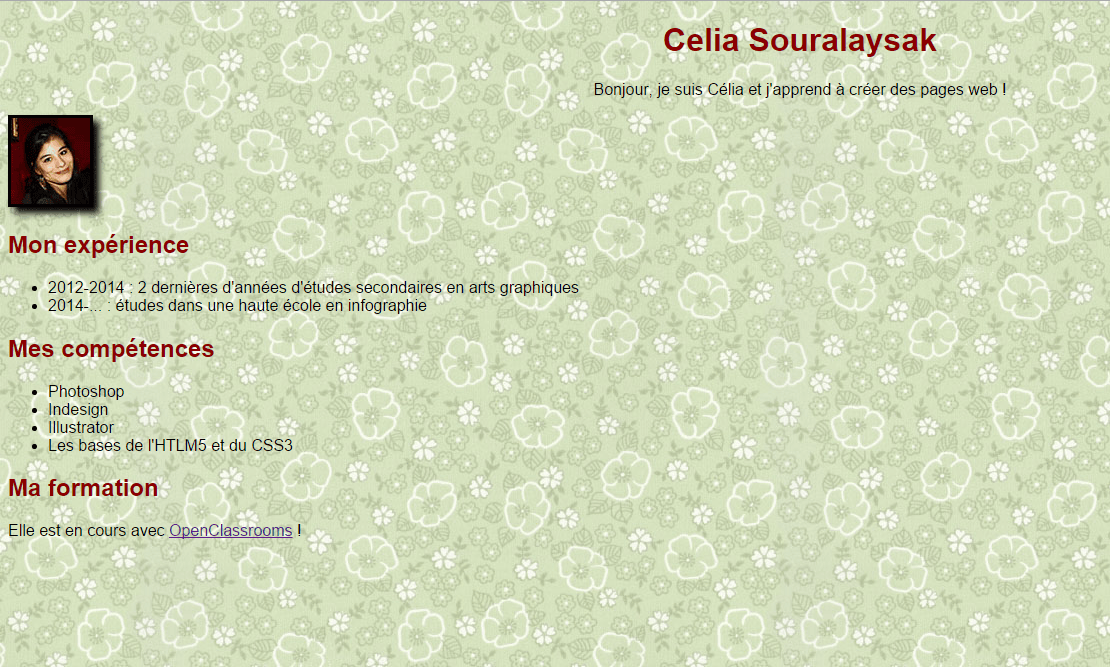 Problème avec fontface par CeliaSouralaysak OpenClassrooms