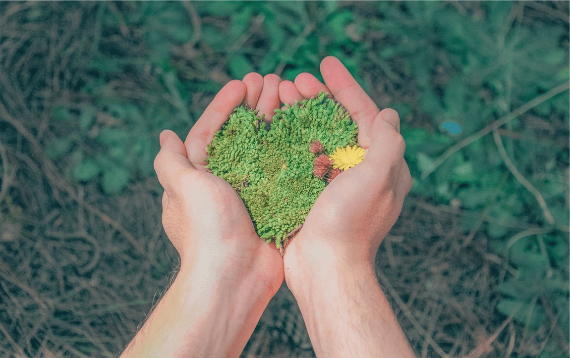 Plastic Tax 2022 Packaging alternatives on the market