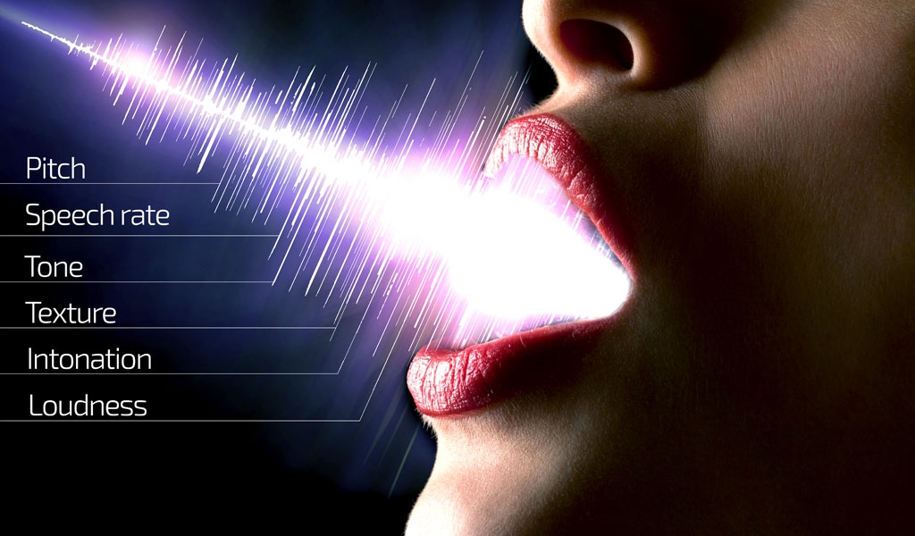 The Vocal Characteristics That Speak To Your Character Voquent