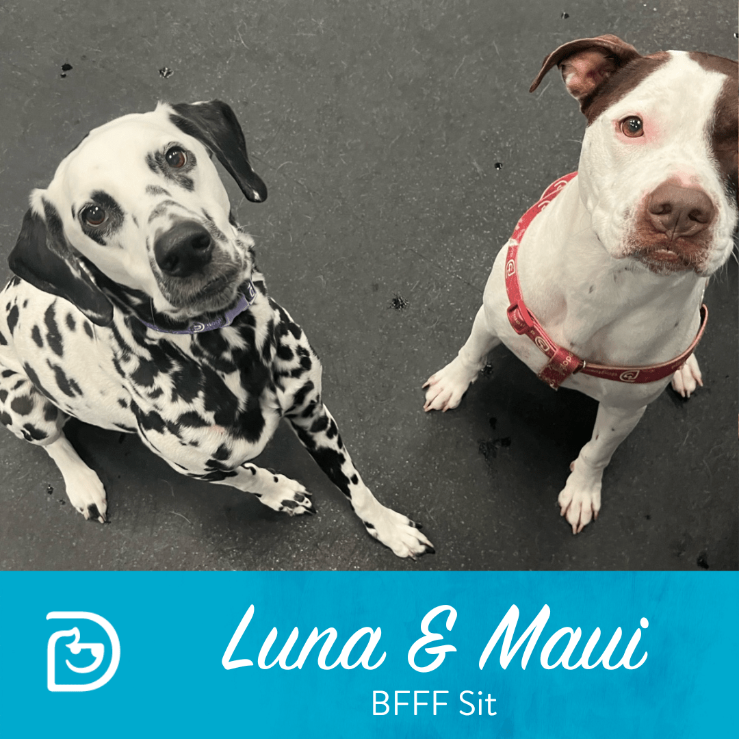 PreThanksgiving Workout 11/26 Solon