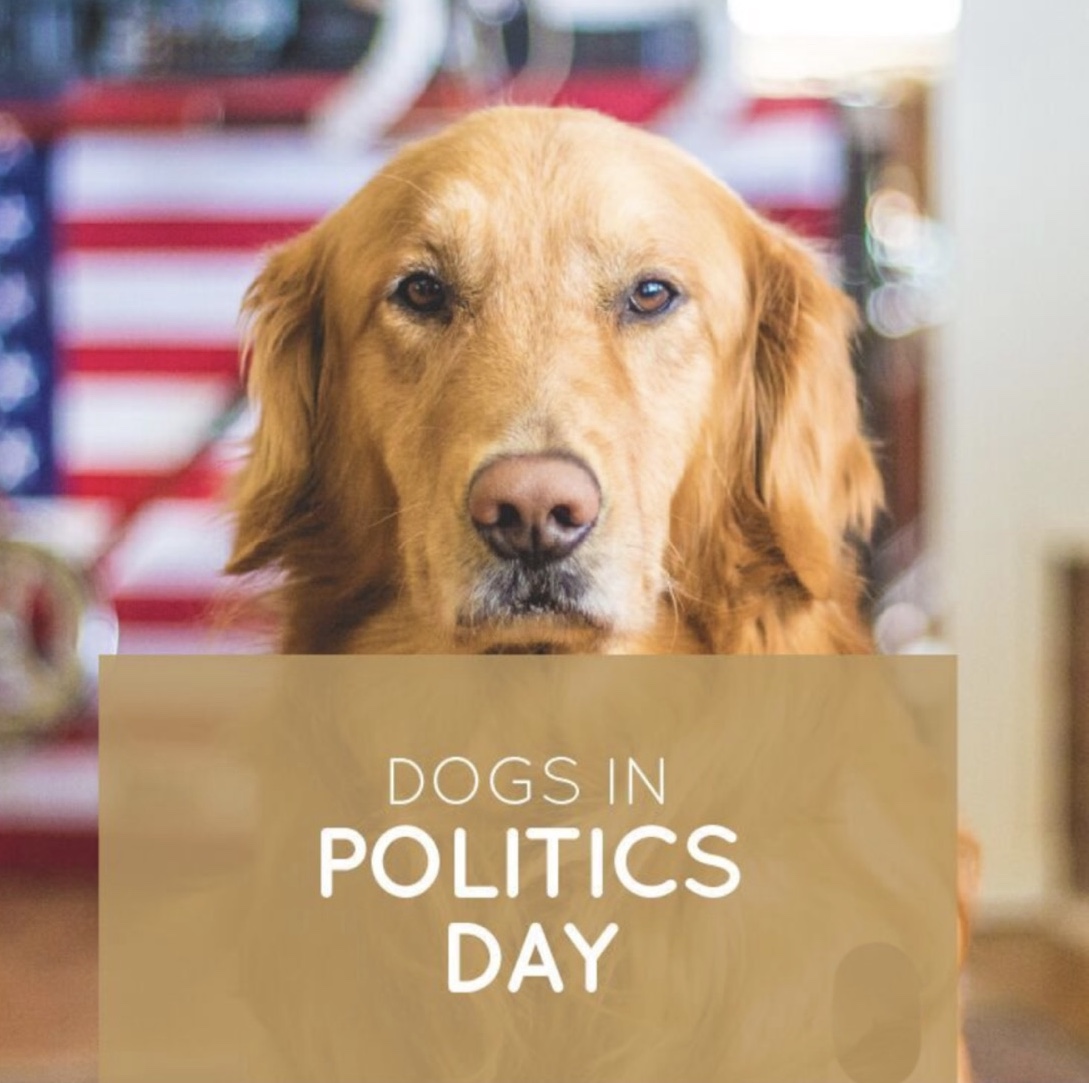 Dogs in Politics Day Woodbridge