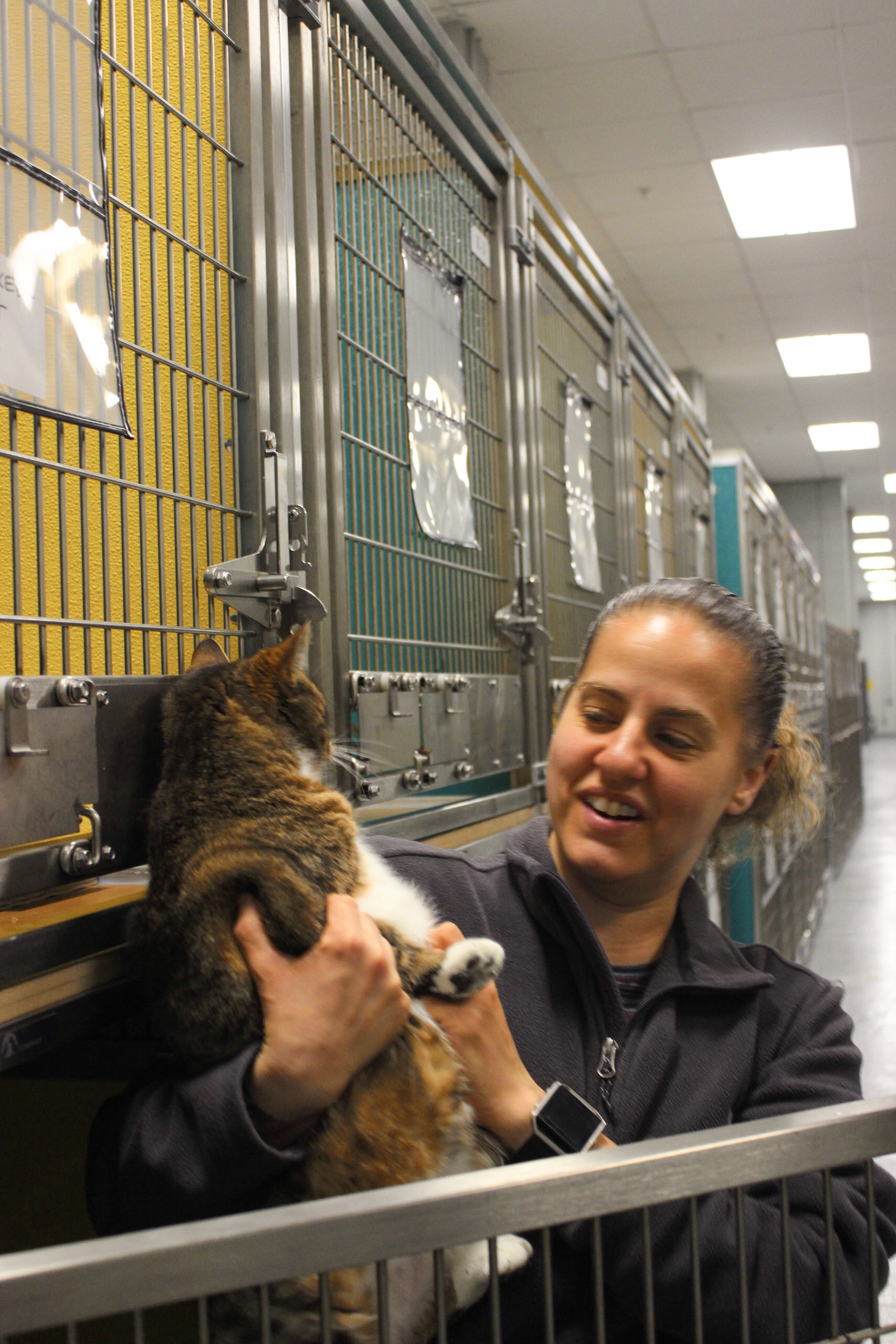 With JFK's new ARK, your dog's now traveling better than