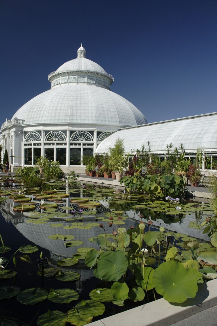 The 10 Best Botanical Gardens in the United States