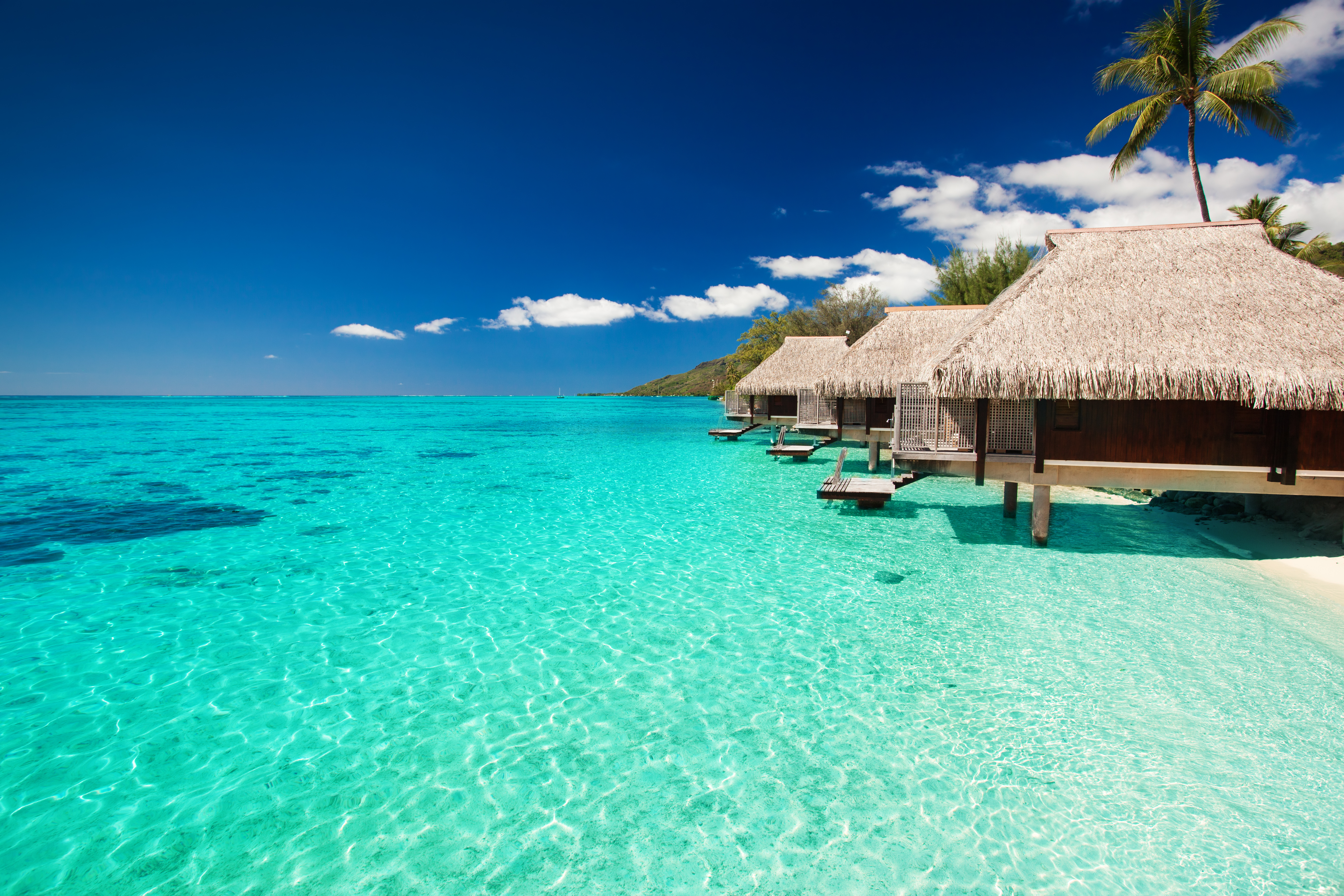 How Much Does a Trip to Bora Bora Cost? 10Best