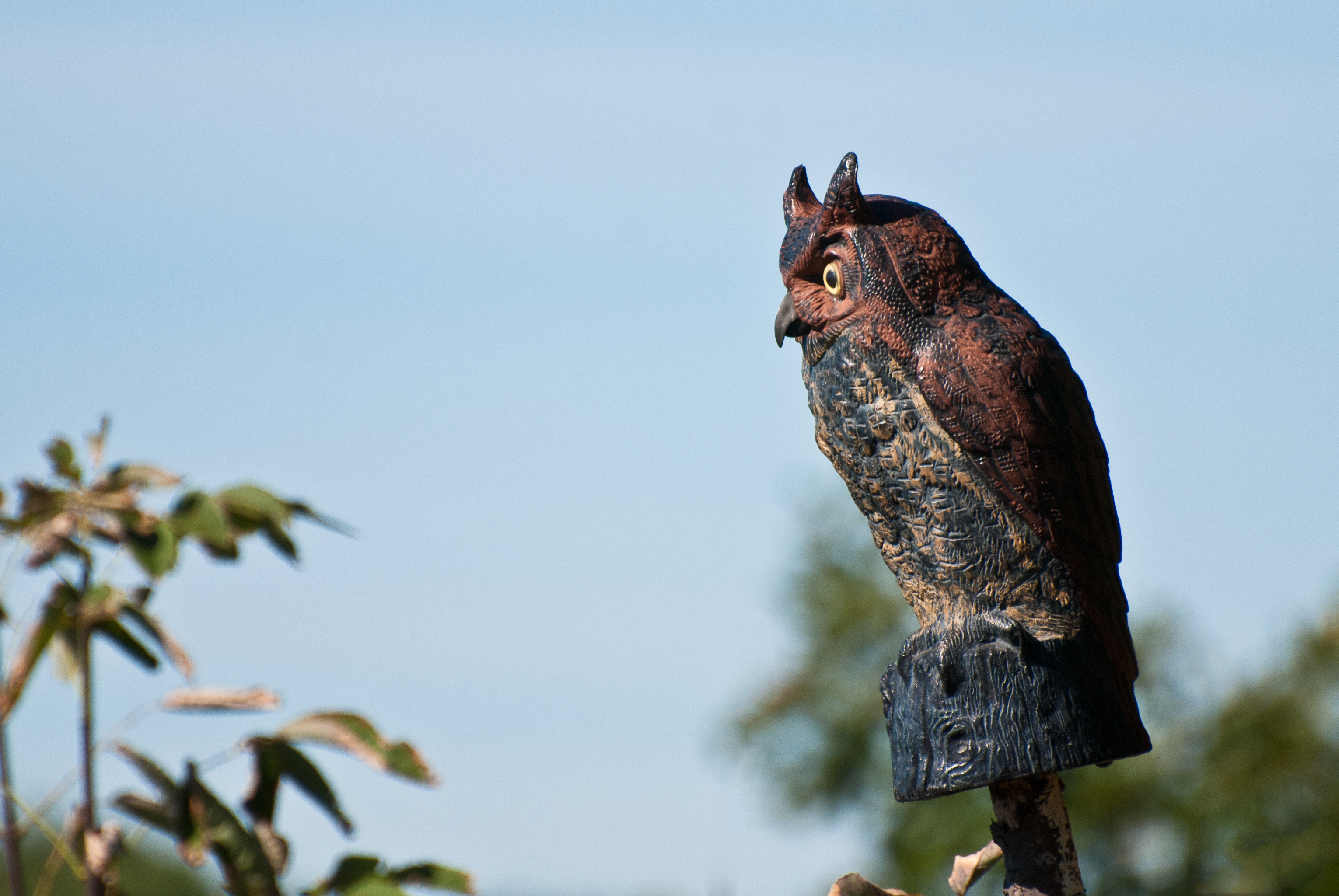 How Does A Fake Owl Work To Scare Birds Away? | Sciencing