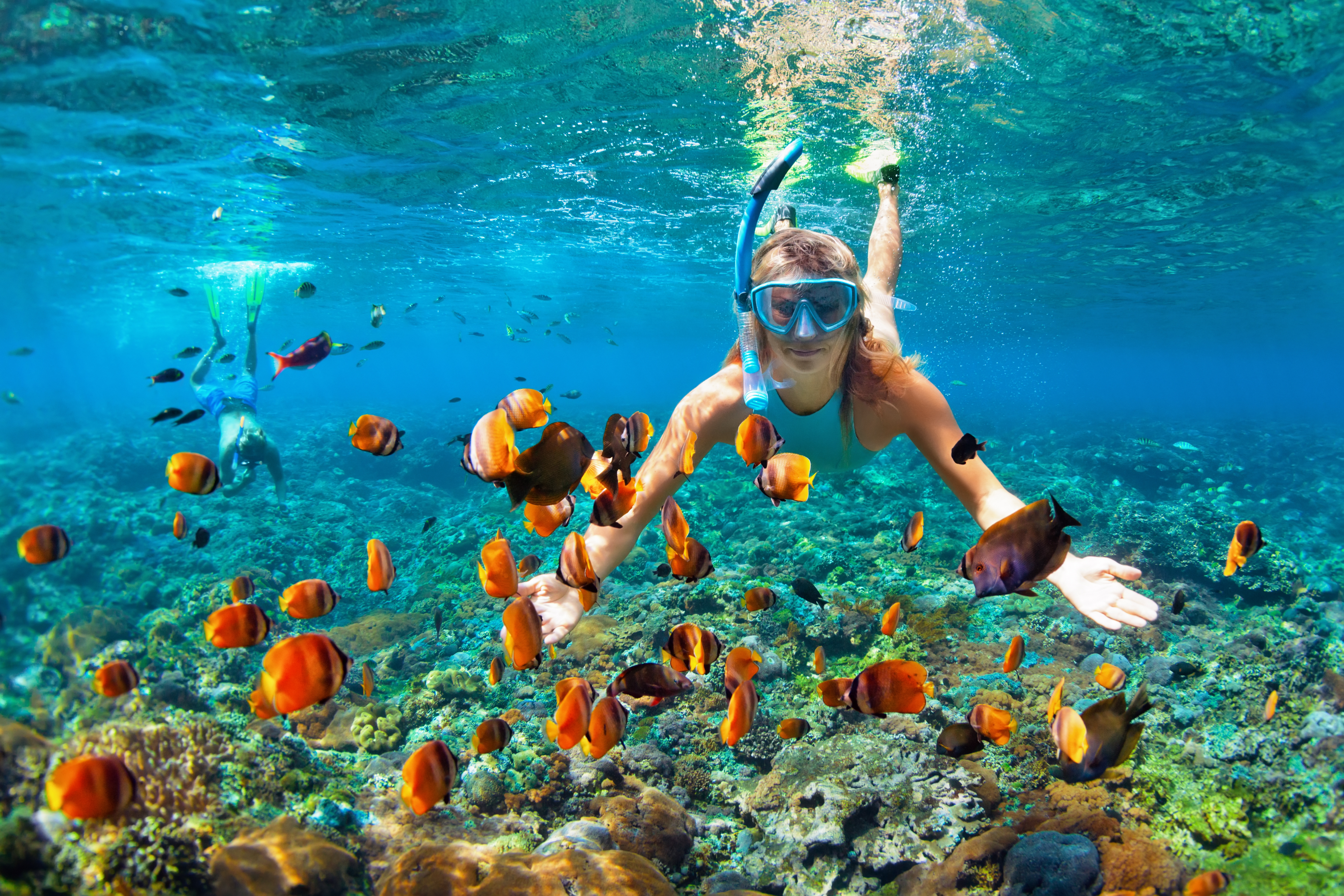Best Maui Snorkeling Maui, Hawaii Skyline EcoAdventures