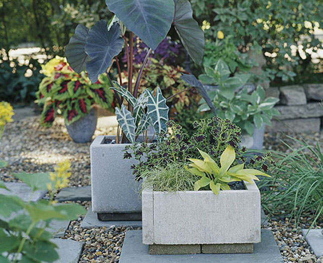 9Paver