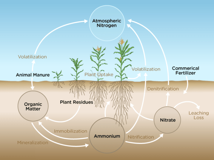 Warm Fall Temperatures Could Impact More than your Fall Anhydrous