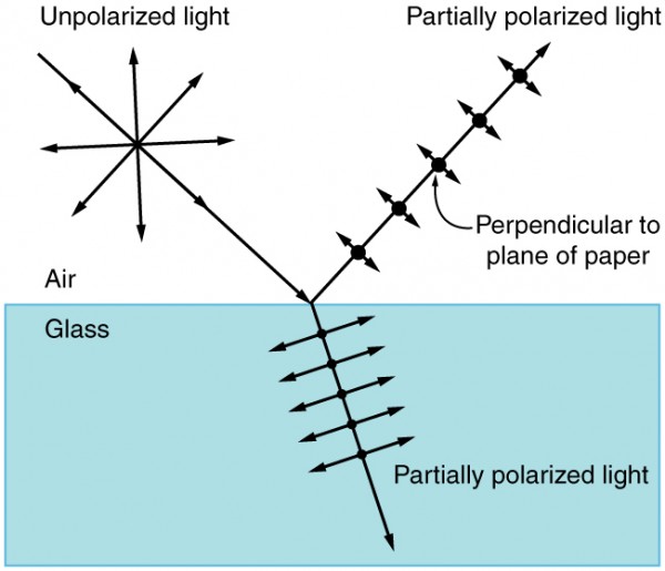 Polarization Physics