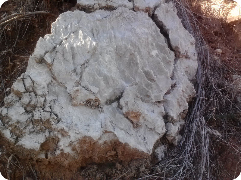 Reading Characteristics of Sedimentary Rocks Geology