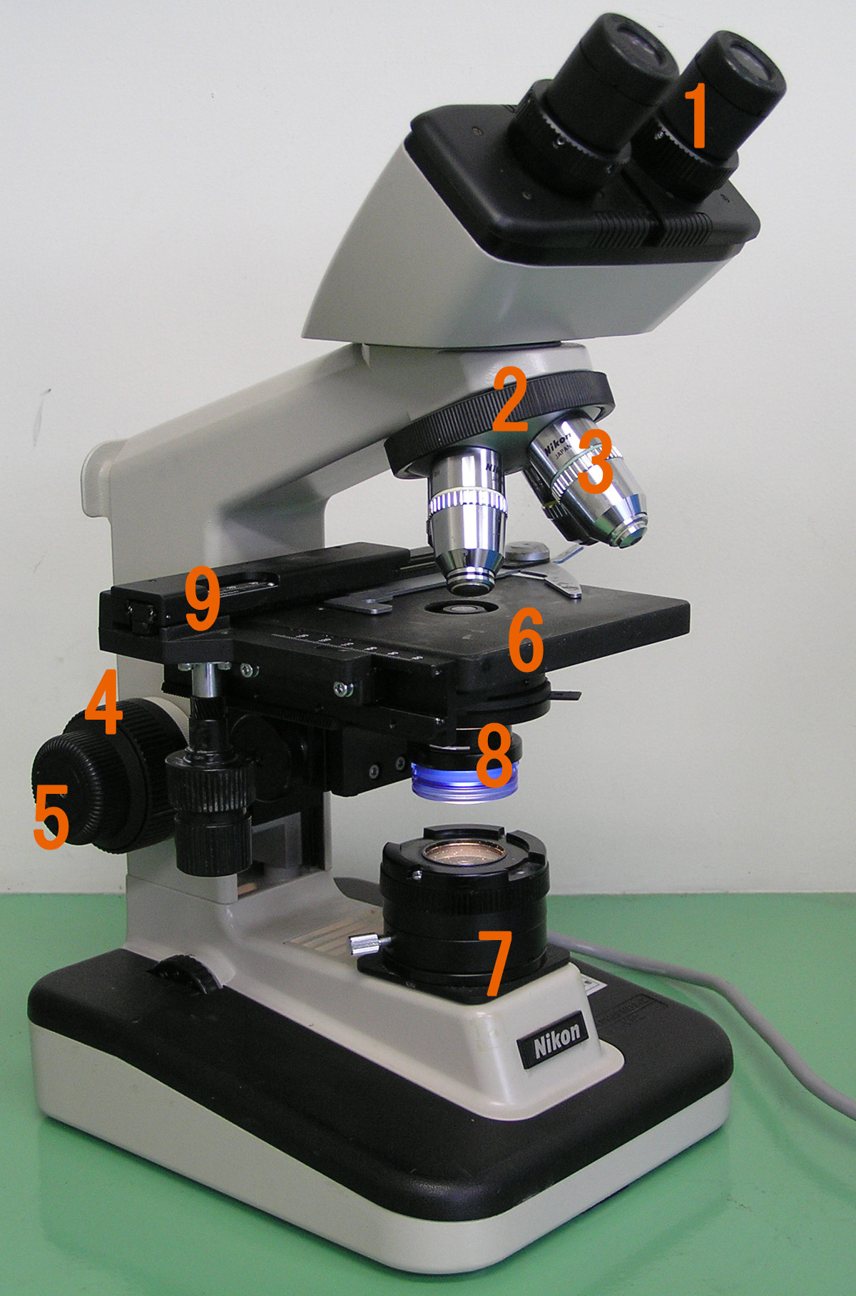 The Microscope and Cells Biology I Laboratory Manual
