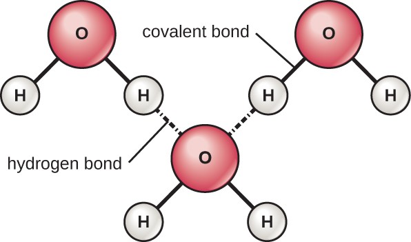 Fundamentals of Physics and Chemistry Important to Microbiology