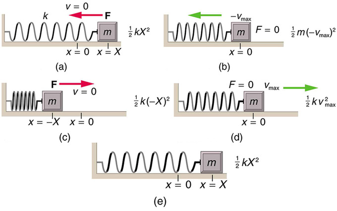 Periodic Motion Boundless Physics