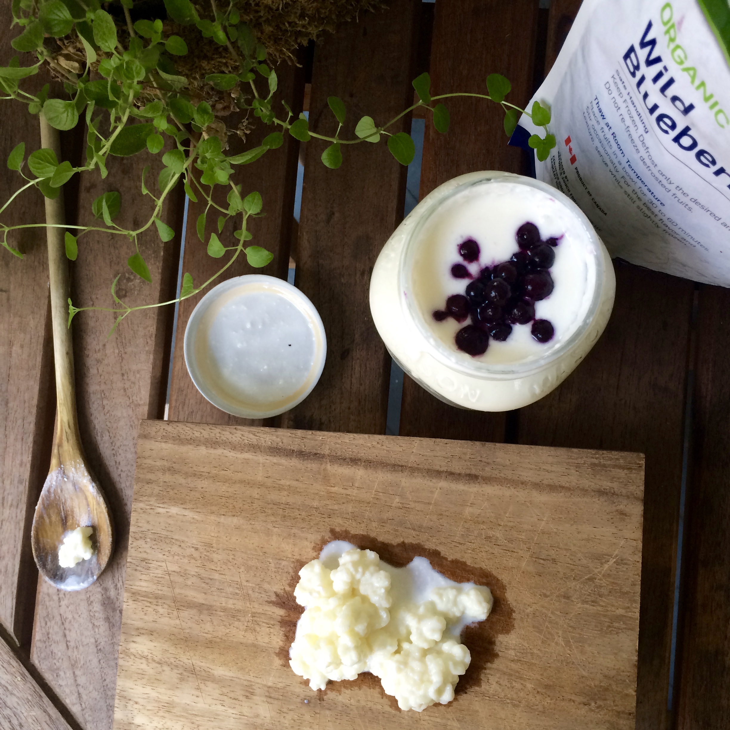 How to Make Kefir at Home Dr. Ann Wellness