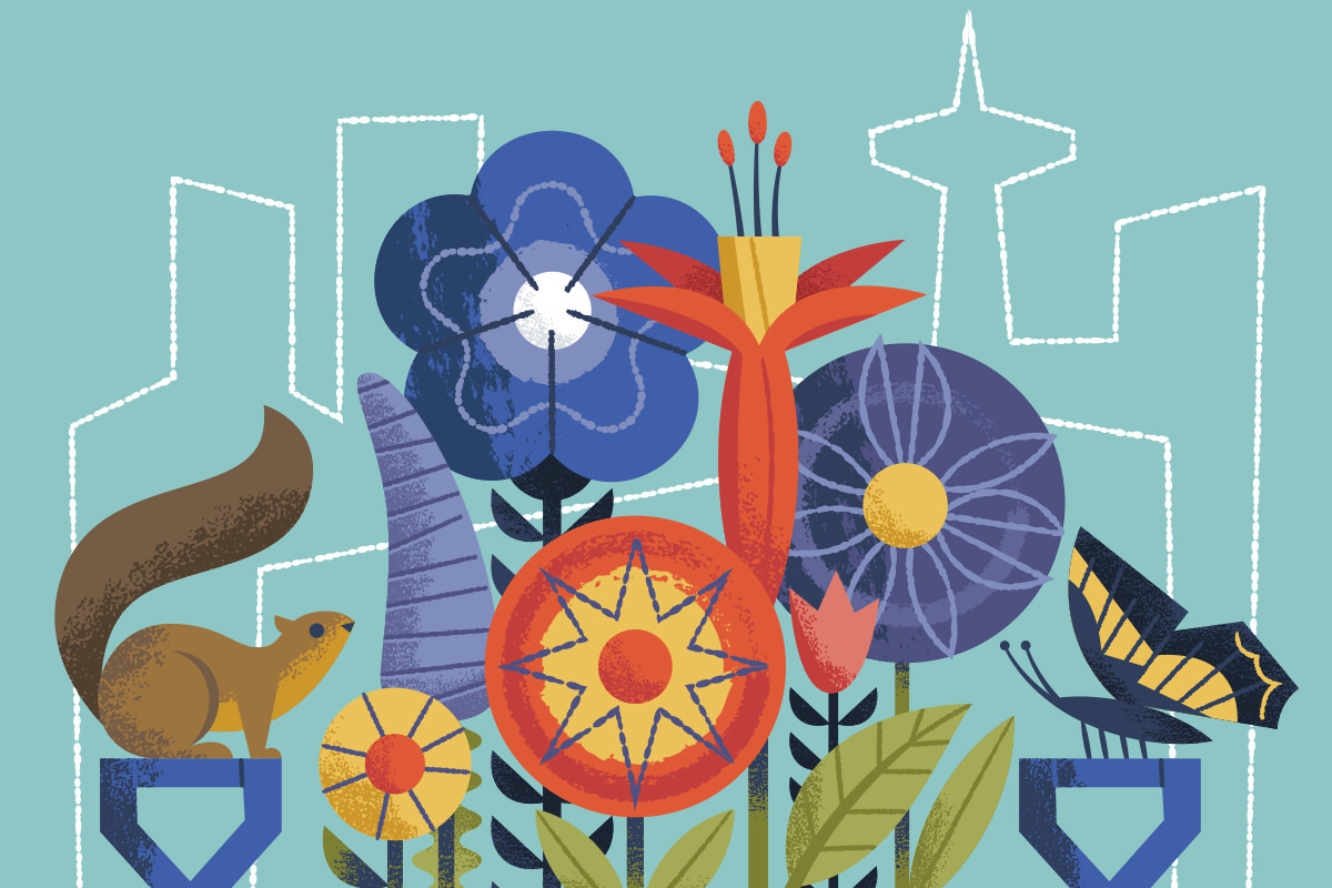 Seattle Garden Show 2019 Northwest Flower & Garden Festival Guide