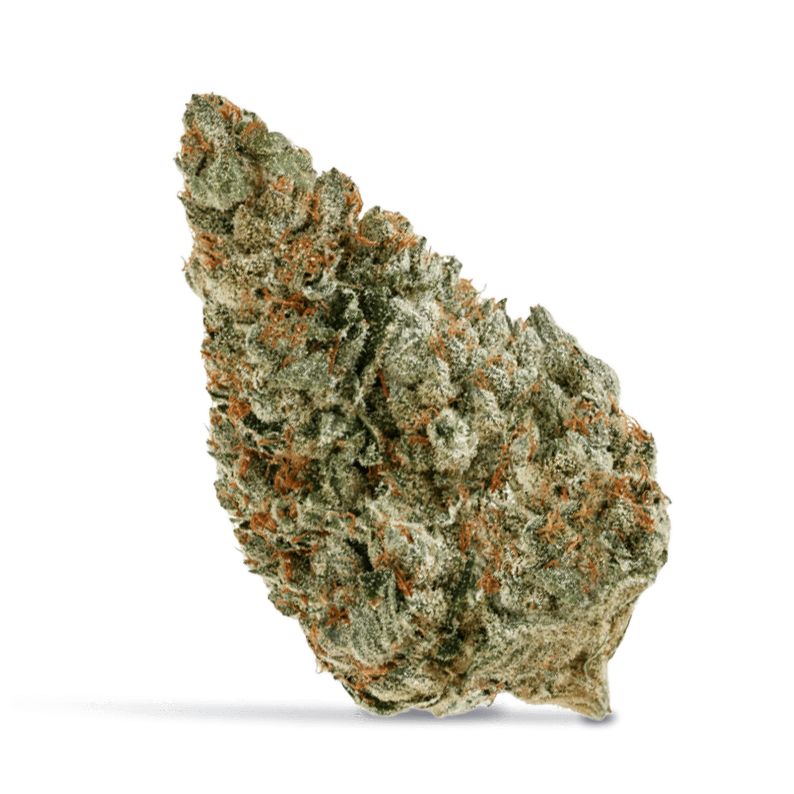 66a5504e99f4a7a033a89d27f0d9d03a