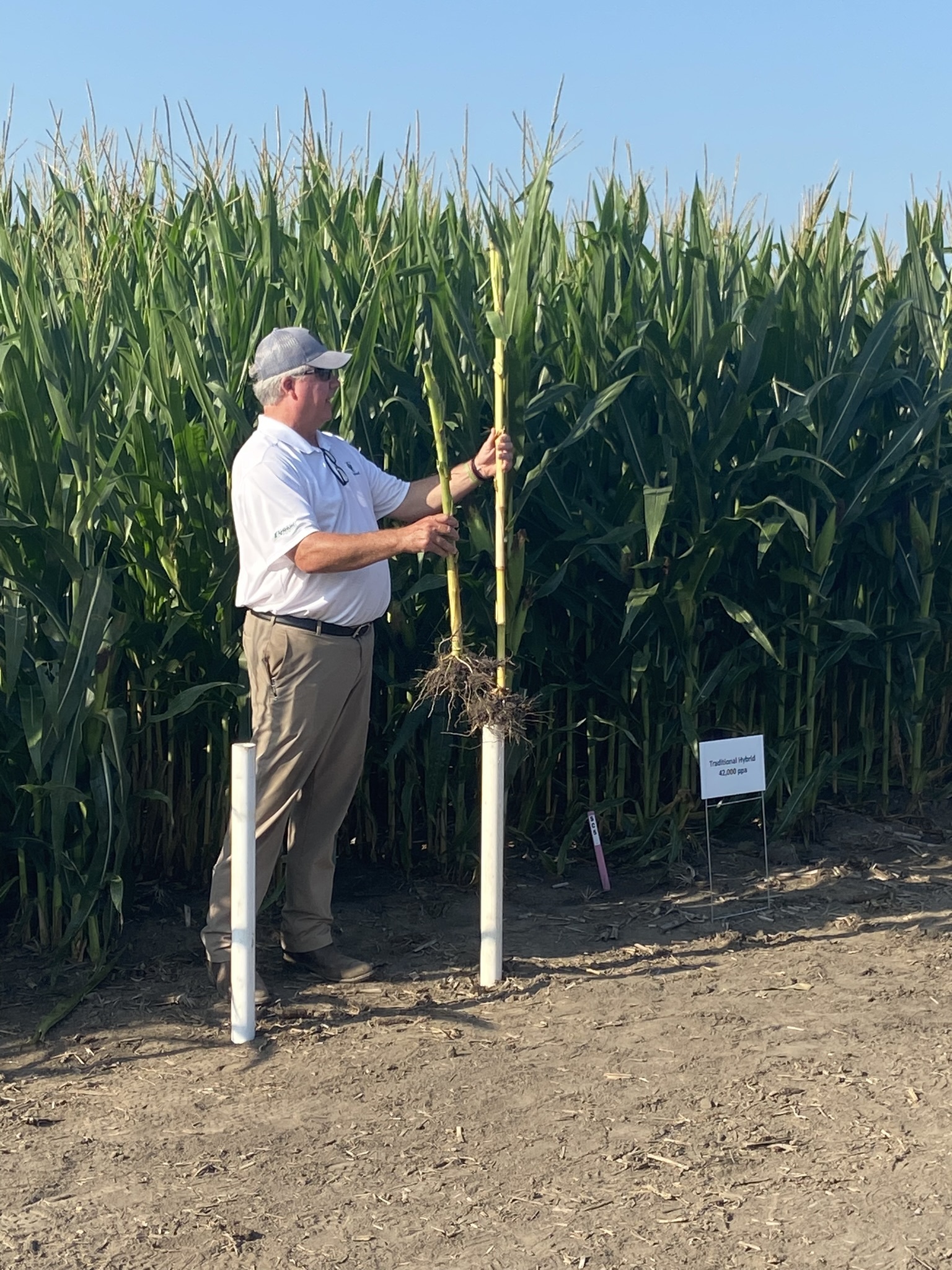 AgReliant Highlights Product Development Initiatives Seed…