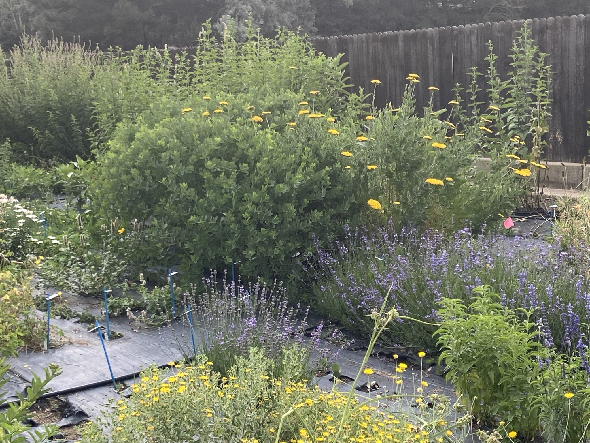 Applewood Seed Co. Transitions to 100 EmployeeOwnership Seed Today