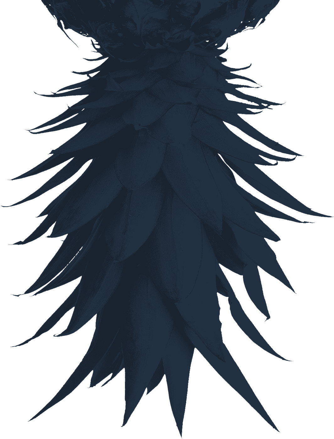 mercychefs.revv.co urlscan.io