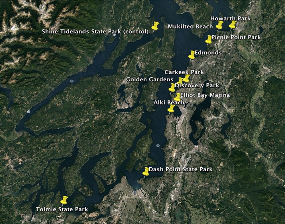 Alki Beach Washington Map Puget Sound UW oceanography senior finds plastic microfibers are common on Puget