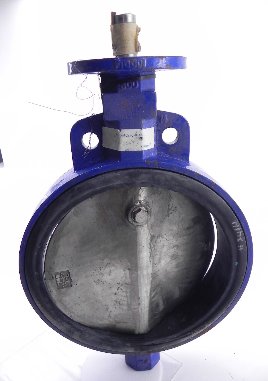 Keystone Butterfly Valve 12" eBay