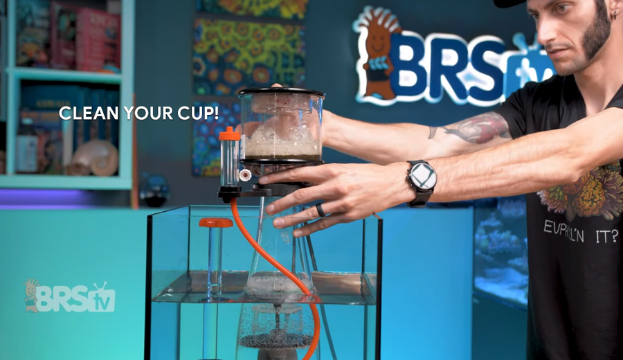 How to Setup & Tune Your Bubble Magus Curve Elite Protein Skimmer
