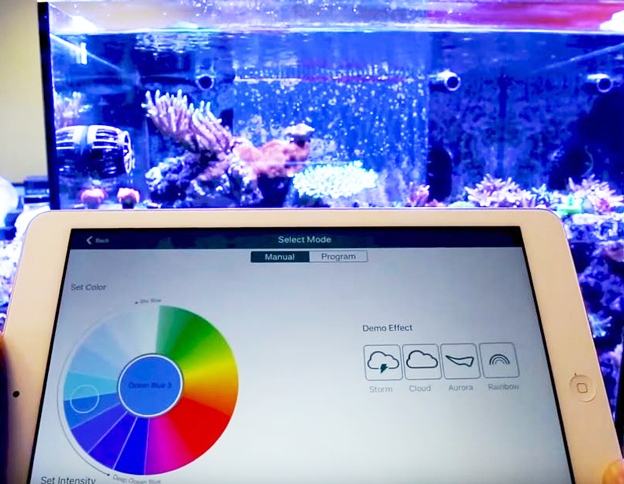 PAR meter rental Setting your reef tank LED lighting schedule Reef