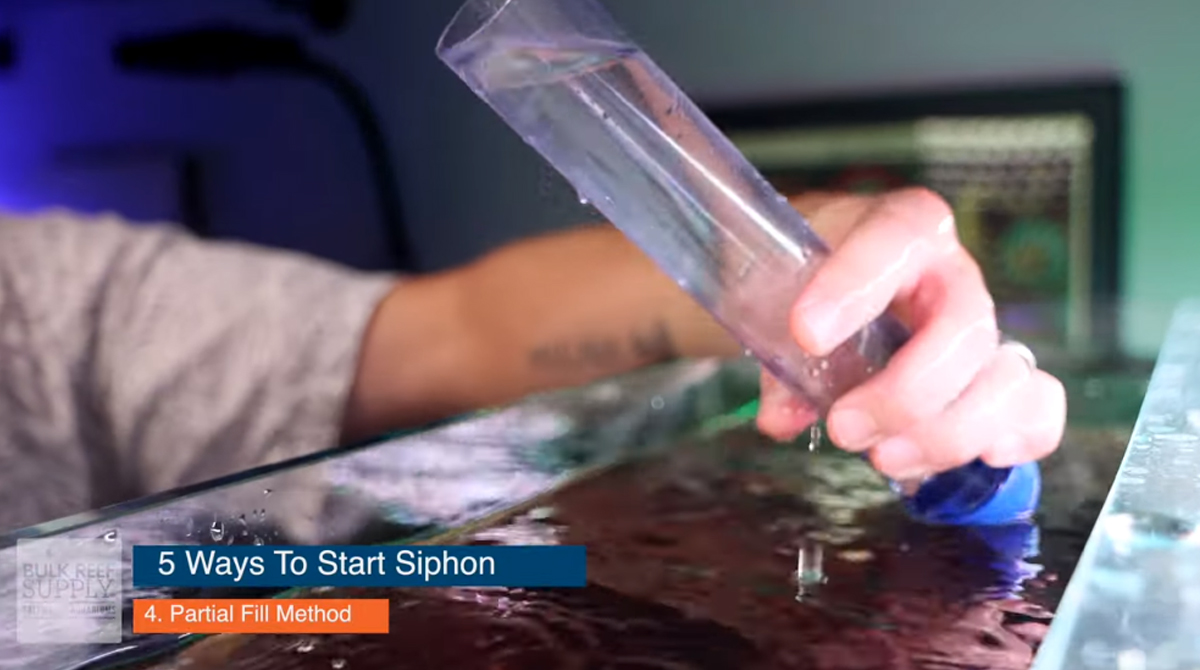 5 Way To Start A Siphon For An Aquarium Water Change Beginner's Guide Ep 24 Bulk Reef Supply