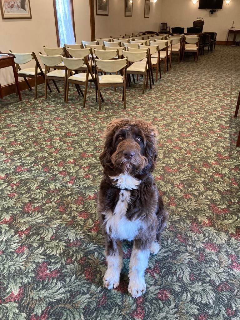 Turbotville Brooks Funeral Home and Cremation Services P.C