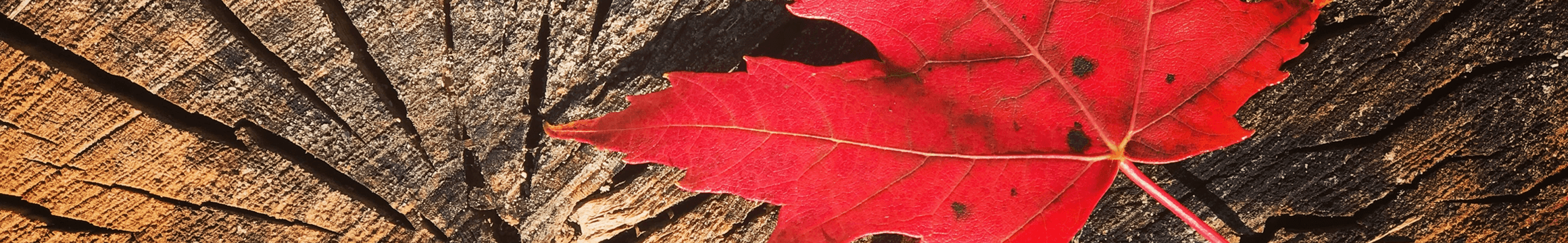 Obituary for James "Jim" H Anderson Grace Memorial Affordable Burial