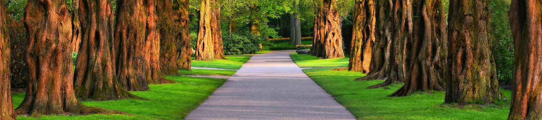 BrannenKennedy Funeral Homes Glennville GA funeral home and cremation