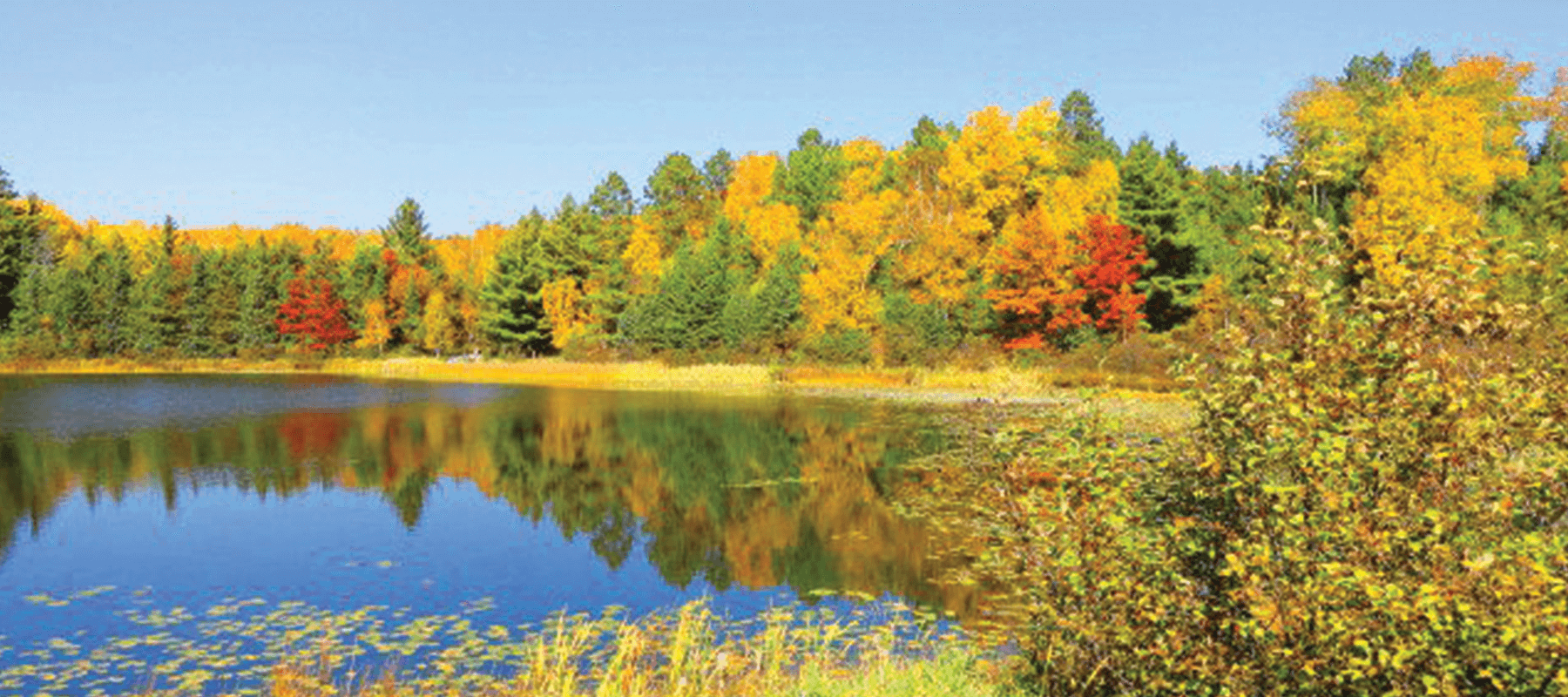 Bauman Family Funeral Homes Virginia MN funeral home and cremation