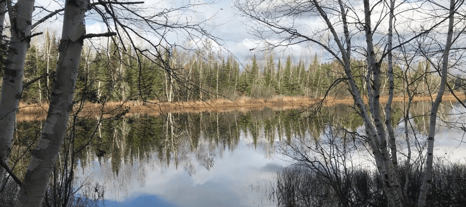 Bauman Family Funeral Homes Virginia MN funeral home and cremation