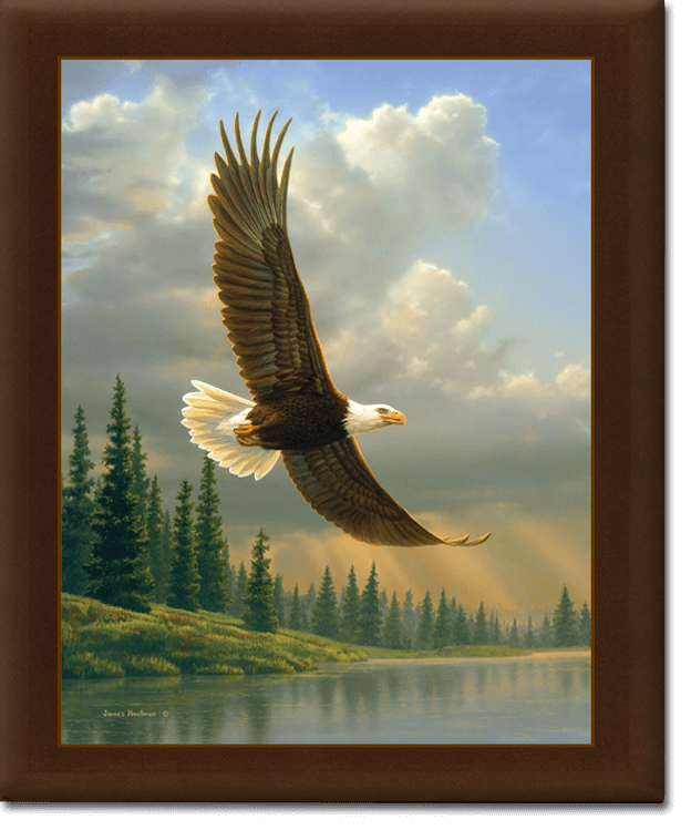 Register Books CarlsonLillemoen Funeral Home Cambridge MN funeral home and cremation