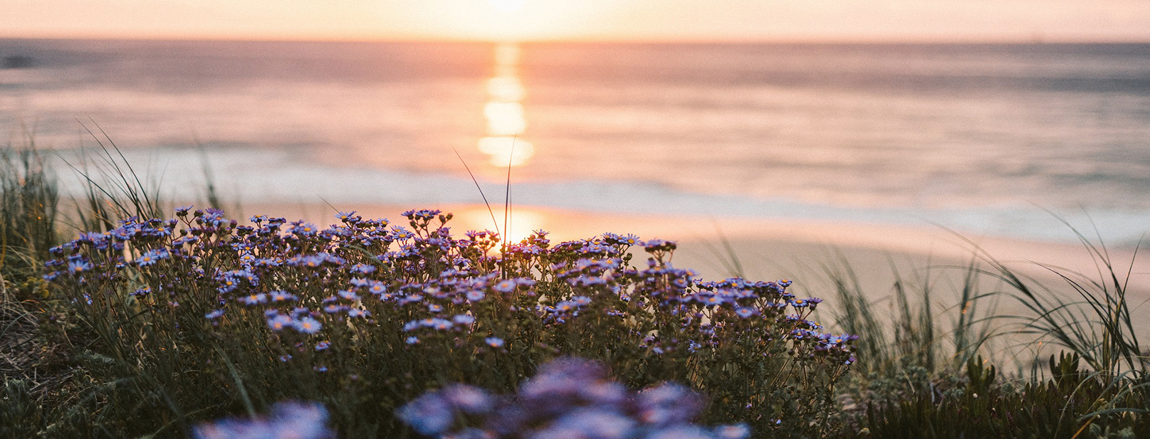 Wayne P. Urbine Funeral Home Jersey Shore PA funeral home and