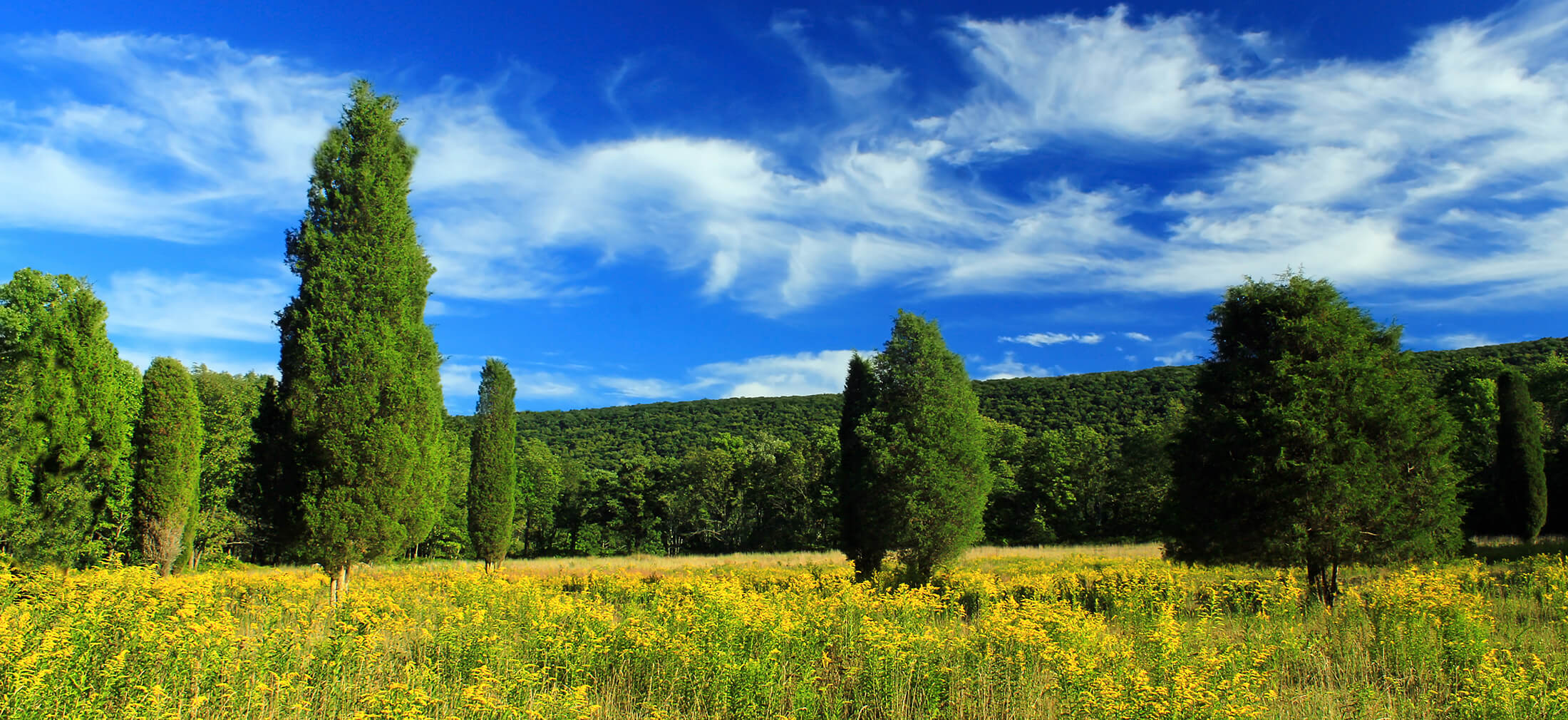 DesiderioLehman Funeral and Cremation Mountaintop PA funeral home