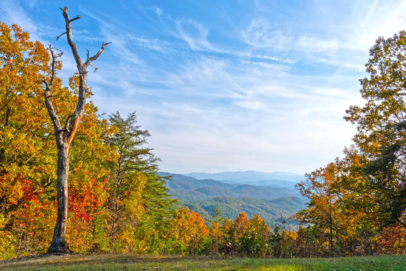 Davis Funeral Home Harriman Tn MarlynneAser